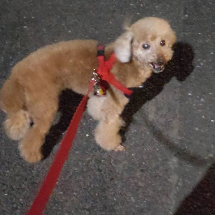 254d80f3 f1d7 49e8 b81e 66a9d32034fc 1664148904478