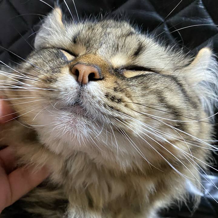 254d84dc 7148 46c3 b9ce 9ce49f85c01c 1600485301915