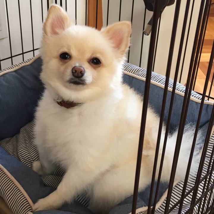 254d9afd 4d2a 4b3c 837b 11efe1ae8ce2 1537312600171