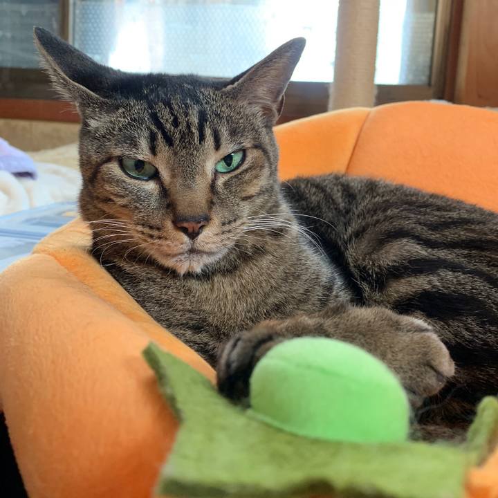 254daf9c 8f8b 4f7e a90c 5746c5daf4c4 1551662444641