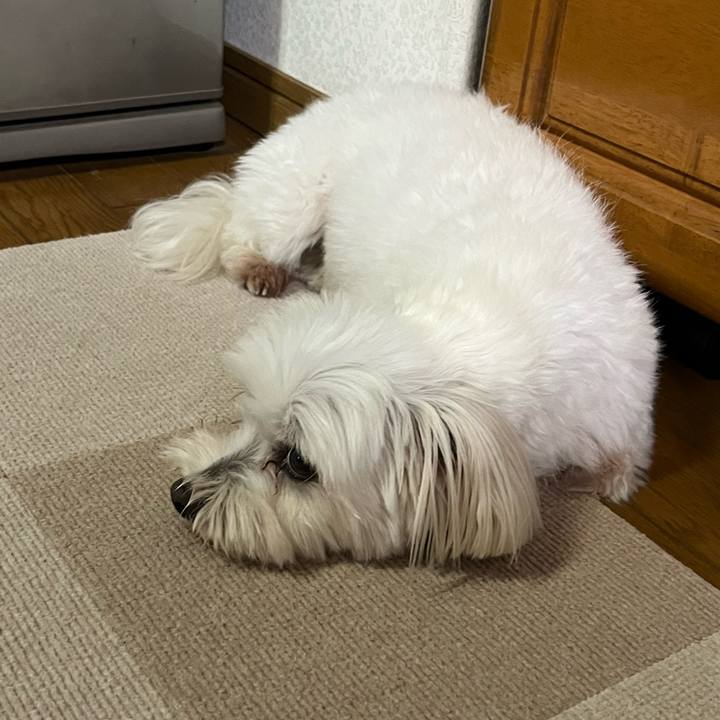 254dd880 78a8 4406 a228 06f1f7945715 1657668237569