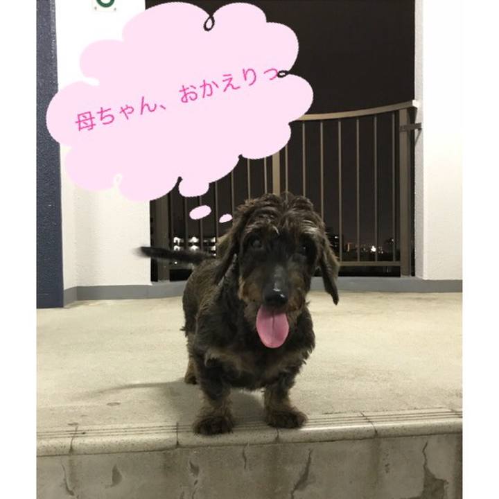 254def15 2603 48bc 897d 32580bbd419a 1538660895567