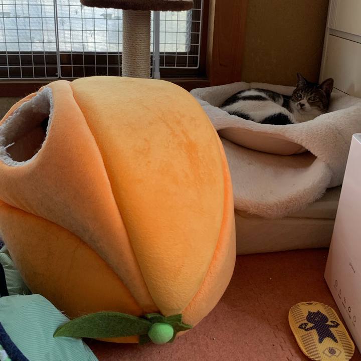 254df6ca 8c01 43f3 97bf 5f0fbd20b18a 1562548079302