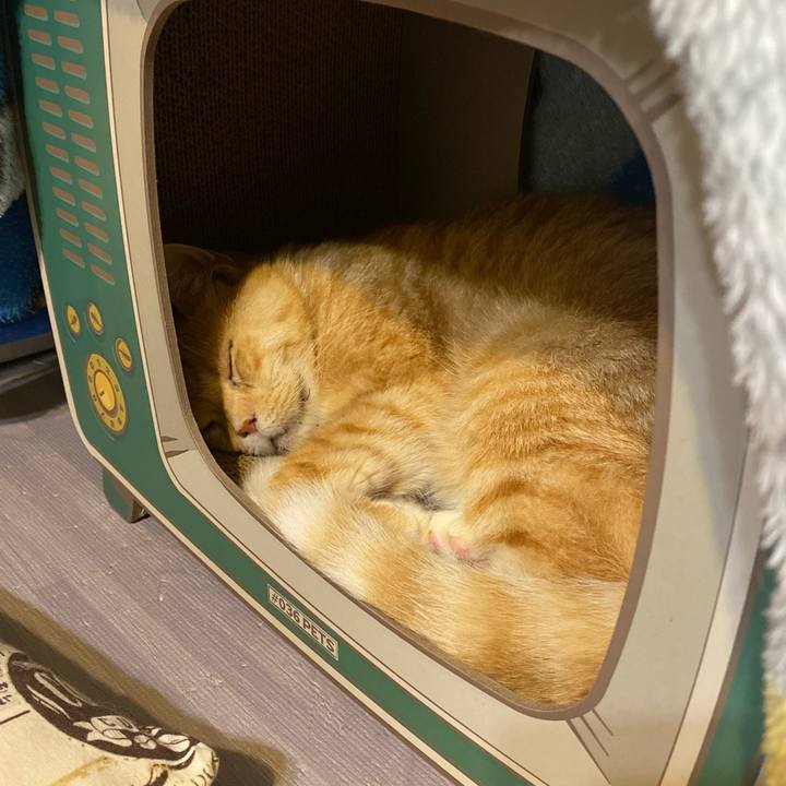 254e26d1 e718 4f1a 982b 3e20f8f63fbb 1631880903312