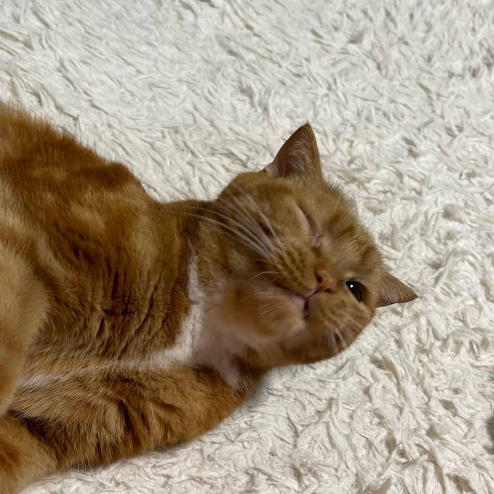 254e57cb 1708 437b 83f0 c2838936d7c0 1727600359508