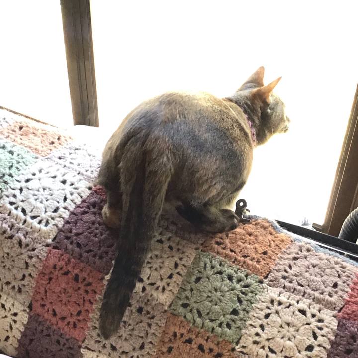 254e7831 0ce8 4468 bd5a 49a9cbe1a2c8 1615344268060