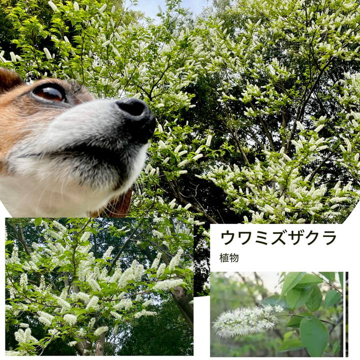 254e7c08 bf4d 4db1 a91d 76ac67b51d93 1745567359274