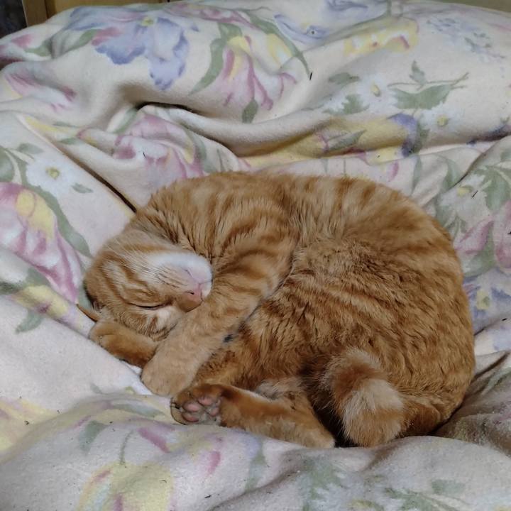 254e8c77 04b5 4baa 9c27 44907ec412a9 1670418785285