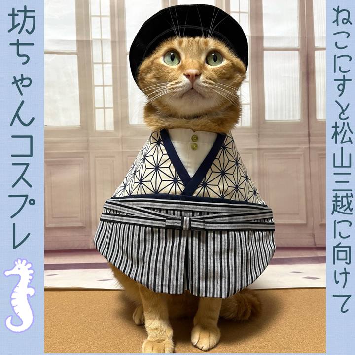 254ec051 e064 49ef bf9c aad31ad06b5e 1691281362717