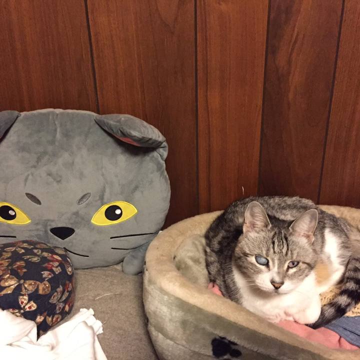 254ec7b5 cd60 470b 9019 b2f4812bff8a 1568867308788