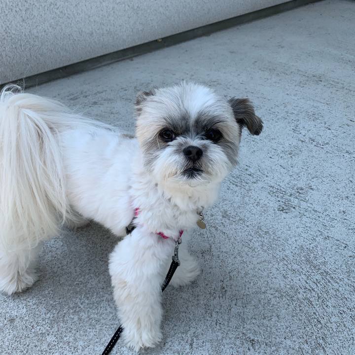 254f317d f024 4d22 a5dd 96c9919fbc0d 1557460347107