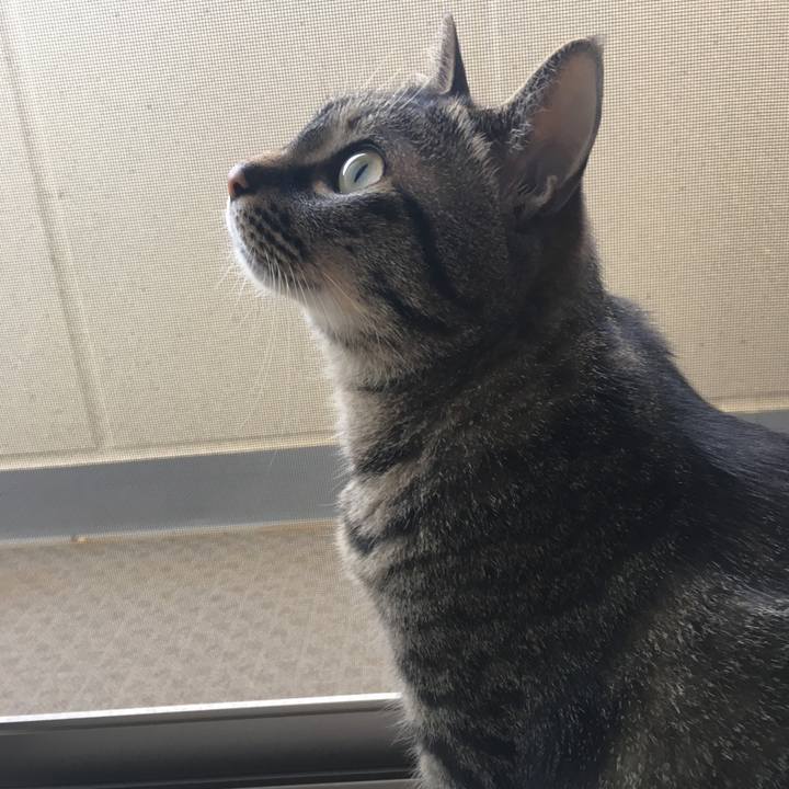 254f3f76 31f9 4e3c 8281 9baa14603c33 1557037295088