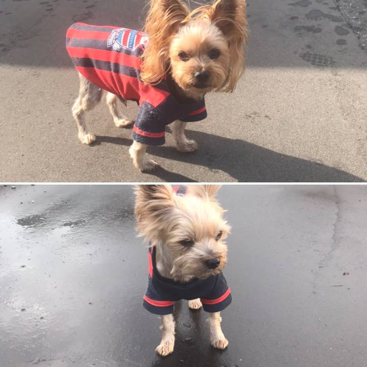 254f6623 a1ca 47a9 81ed f0ffe70fba07 1604651621650