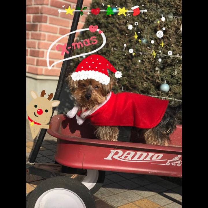 254f6856 75a4 4ef4 aa19 83cdf4c41e20 1514072567908