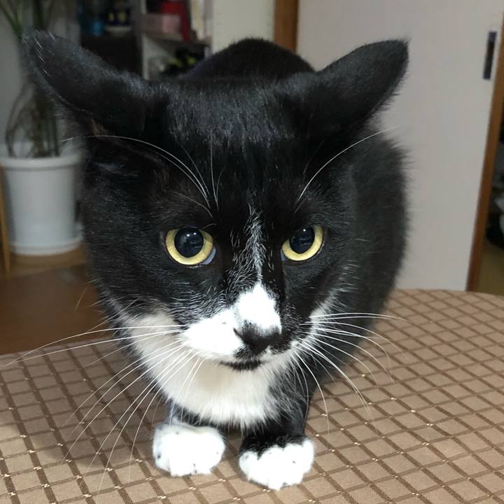 254f6e42 6031 4137 b20c 2a4b5d3919a7 1633663364096