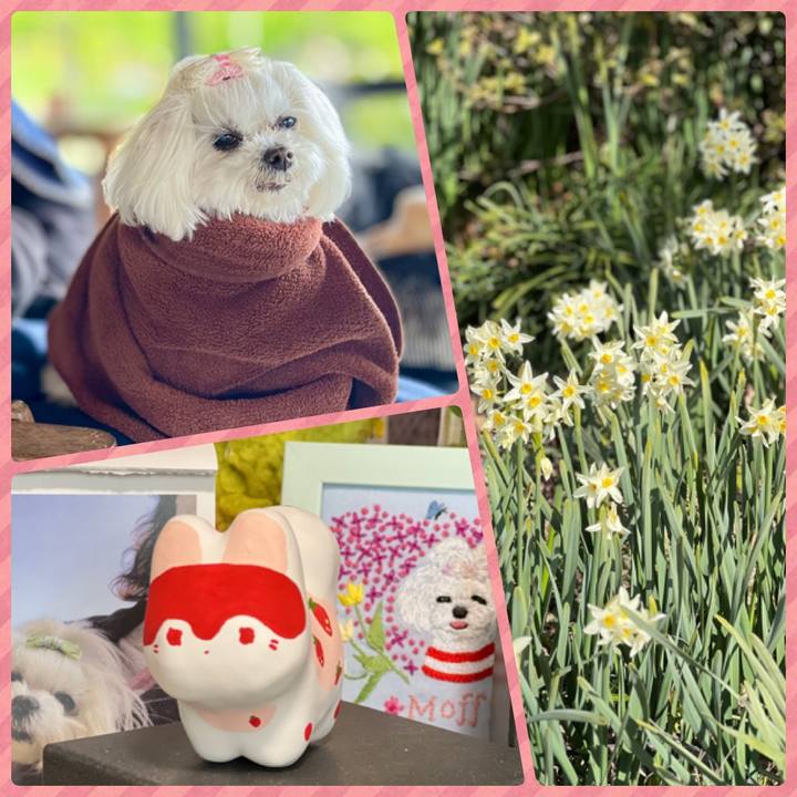 254f8bc2 210e 465f a13d 1cb2e1d214b6 1770023731811