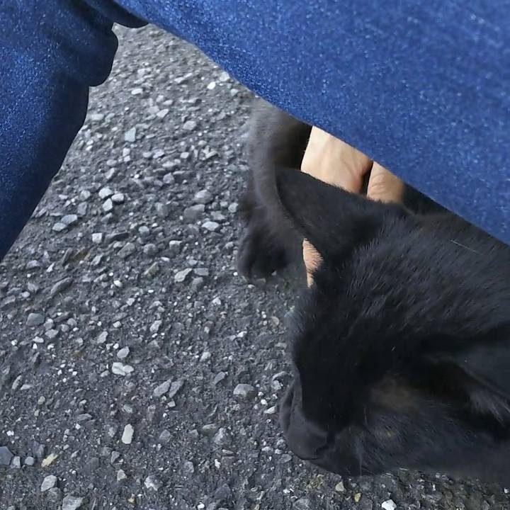 254f9b3e b7da 493a 8c7d 43836140e04f 1557565416968