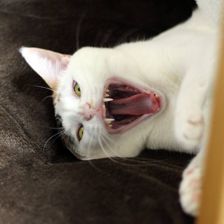 254fb62c b859 4974 a9c2 6401f0bcdee4 1582342394553