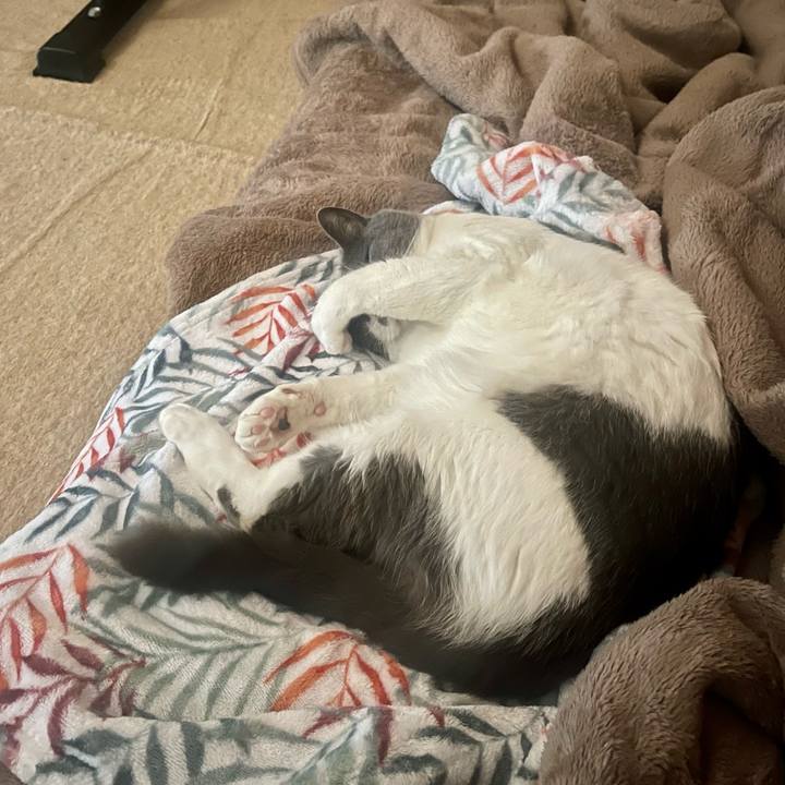 254fdf96 7159 4de7 92b8 5b440888a12d 1684196866863