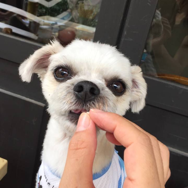 254fe56b 7bc4 4985 a222 3efe414103e7 1567307773514