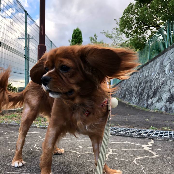 2550501f 7e6a 480b 8b7a c0da2dffdbdf 1532901607146