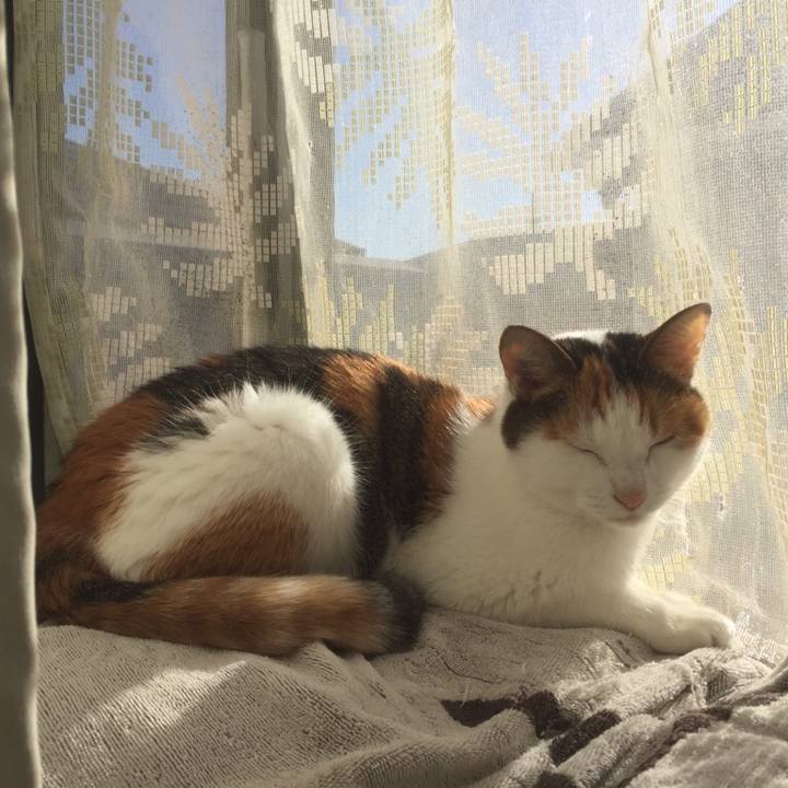 25506a05 3295 4fd8 a72d 830e68b131e4 1513658651269