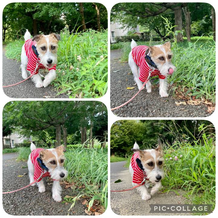 25507e63 6efc 4663 a99f 419d4f32ab4f 1627556018488