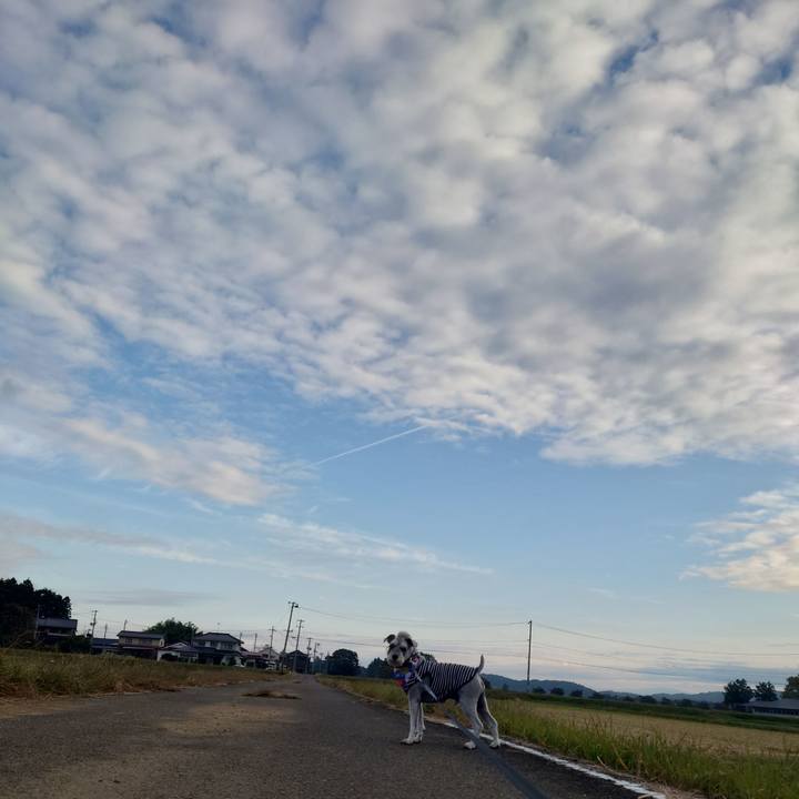 2550ae5b 6cd8 47f1 afb1 c789969b5759 1761347965426