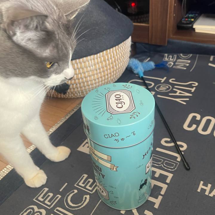 2550bc1e b3e5 482b 9a5d 727e50277aa7 1707804479674