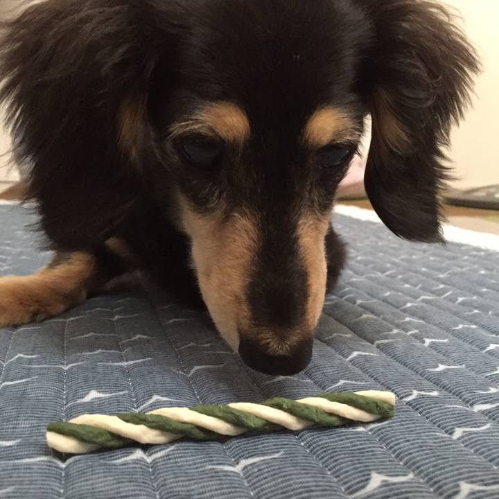 2550c07a e033 49ea 8f3a 08e0451a88e1 1592526027477