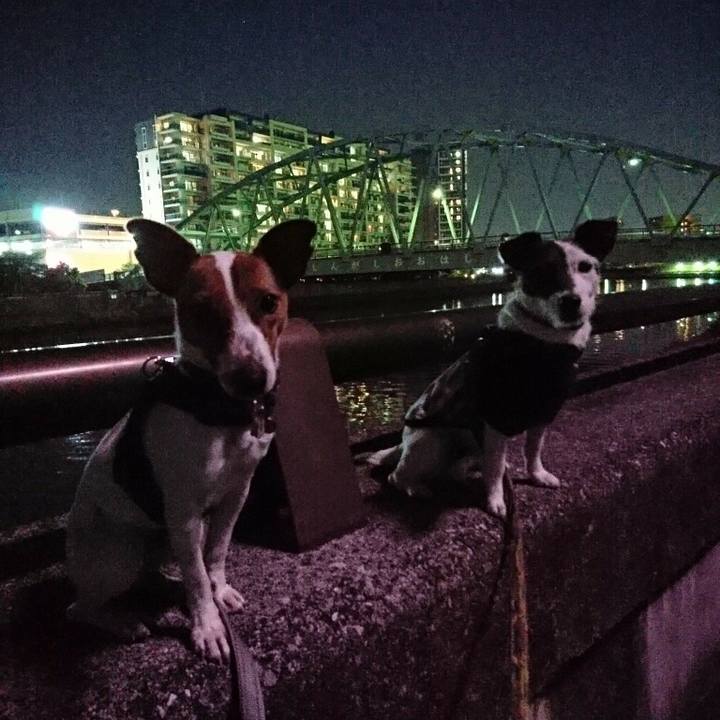 2550fe62 cf03 4226 8134 d880f094303c 1526298320144