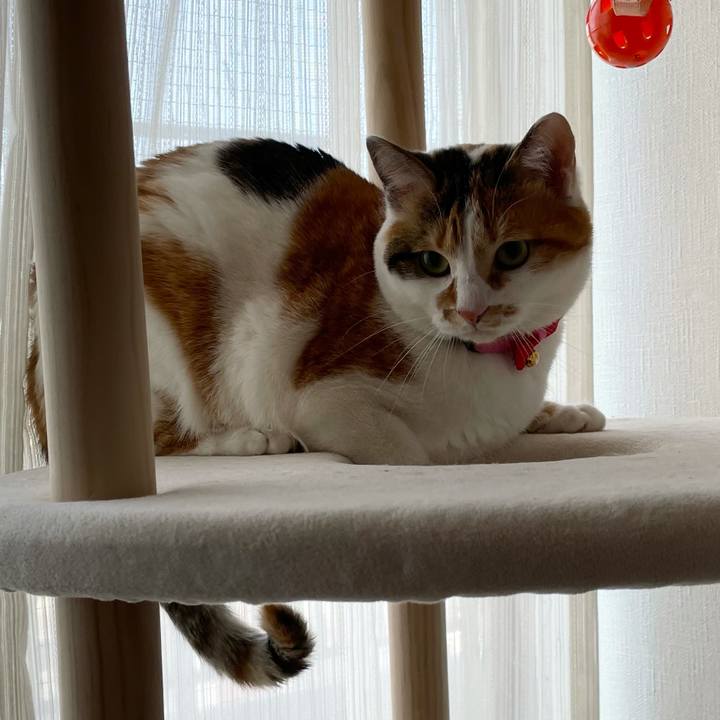 2551360d c8e6 442a a168 63767daf1923 1615419171819