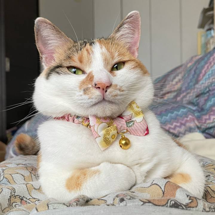 25513705 5c05 4ab8 9802 c7a463a41afc 1625273015748