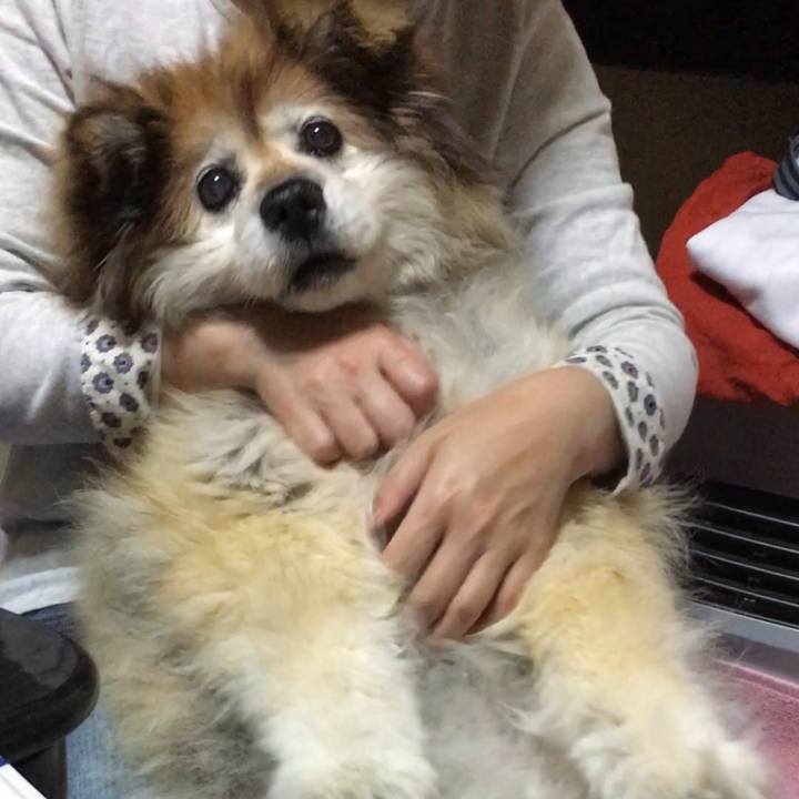 25518741 3eb3 4df1 92ec 6f8ae9064fc5 1562537365510