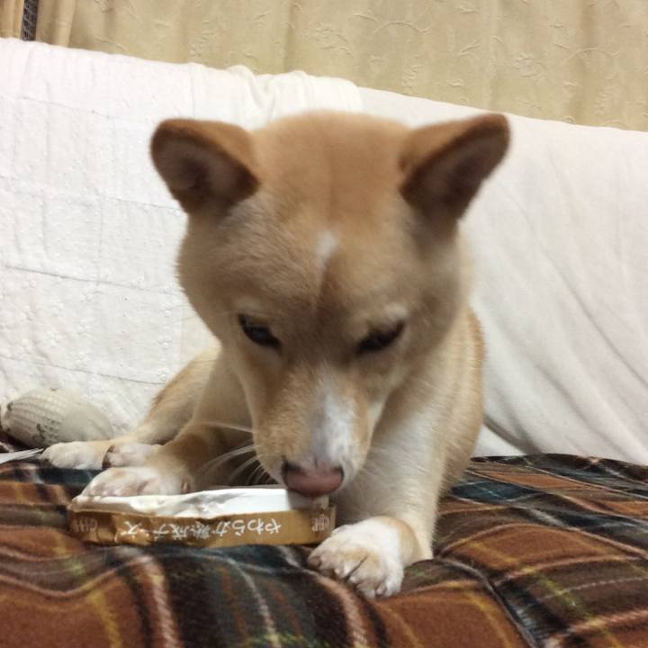 2551889e 176b 4336 8d32 d6ffd043057a 1509534821765