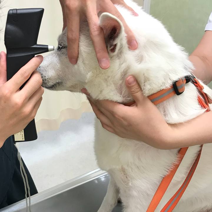 2551940b 5da0 4921 9683 9a88145bf853 1526208647070