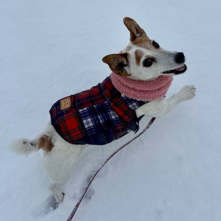 2551ab01 3b9a 47c6 bbc2 b2b1527c9d83 1770552675609