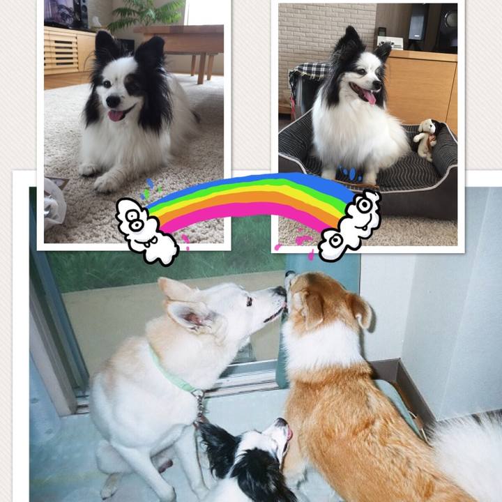 2551ad17 16a4 48b7 8045 c0b5d52c88c5 1533732974838