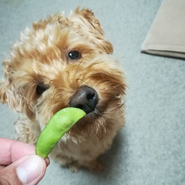 2551e99c 2164 40d5 b065 2931475c02f2 1535458782258