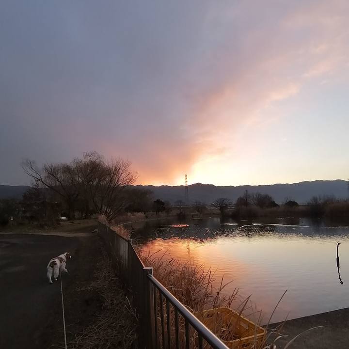 255200e3 c772 48cc b8ec aba865f98724 1611013254508