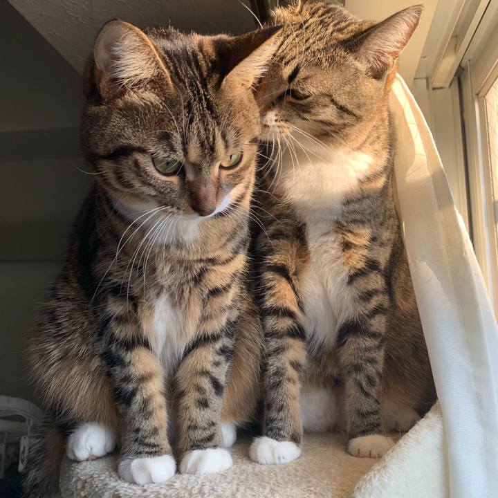 25522fa4 f692 45c1 bd81 32f35590de38 1571669859885