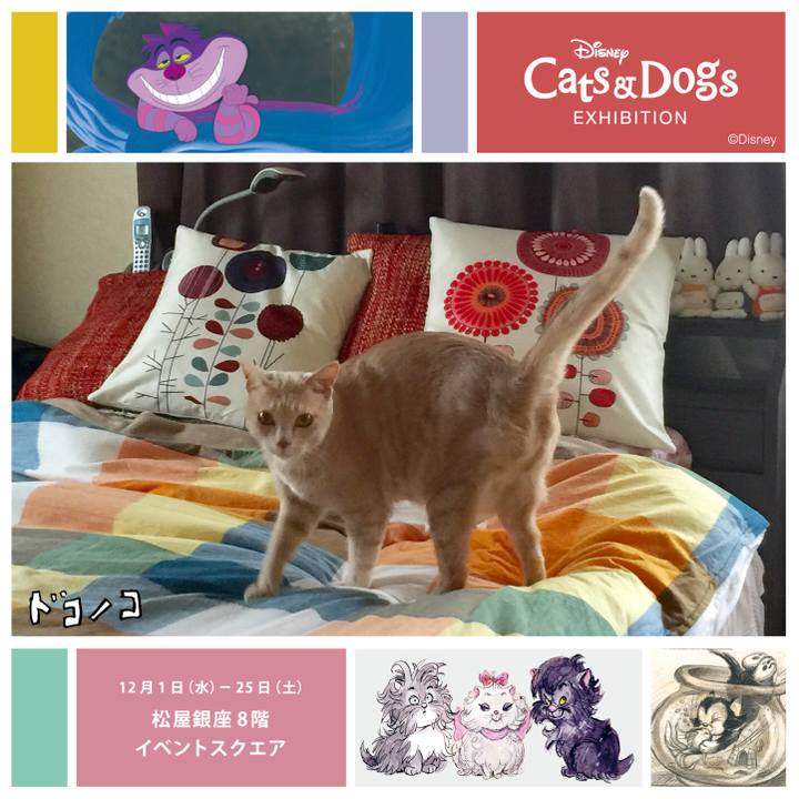 2552372c dc10 46a9 9f66 fe8a9a003f37 1638340596641