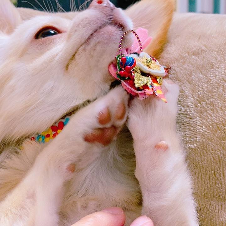 25526cb7 047e 4c62 b667 972bbf6df885 1608882664942