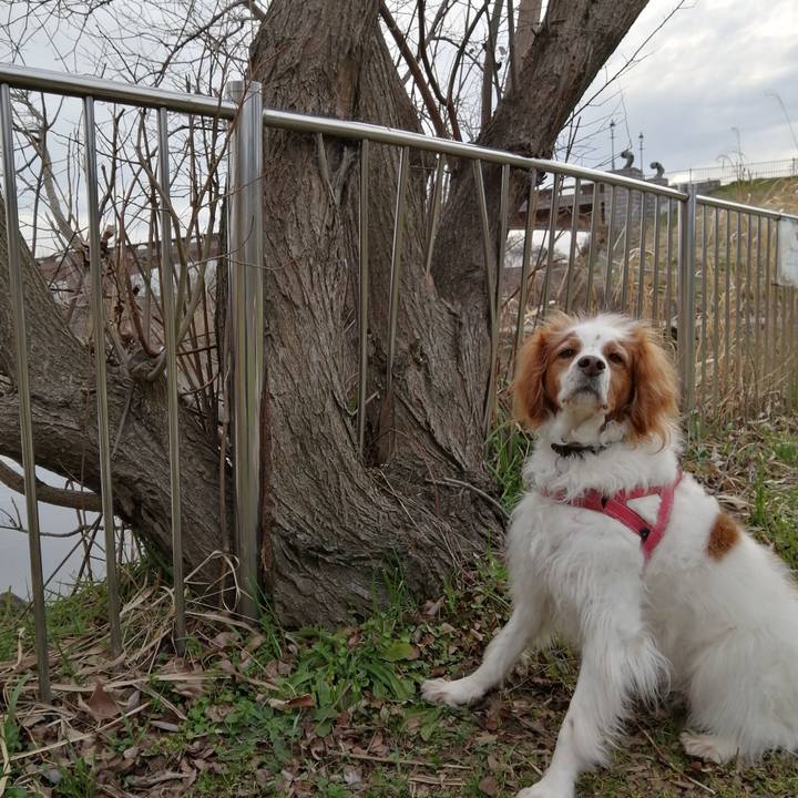 25528434 844f 42a9 a3ee 428d5b3a5ee2 1614246594604