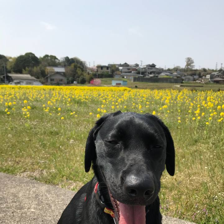 25529285 879d 443b be95 edc7734ef21d 1522553954446