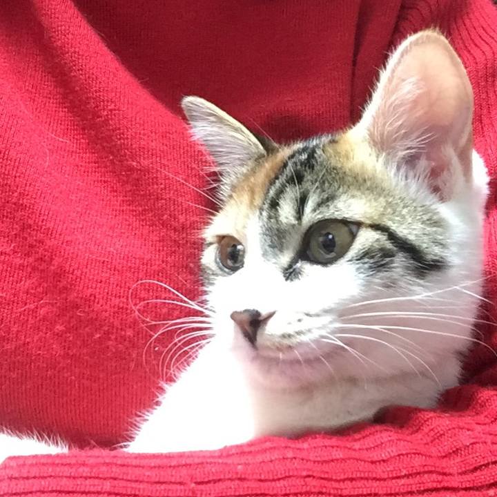 2552cab8 0f24 480f 828d 08eaffb44b57 1641361995583