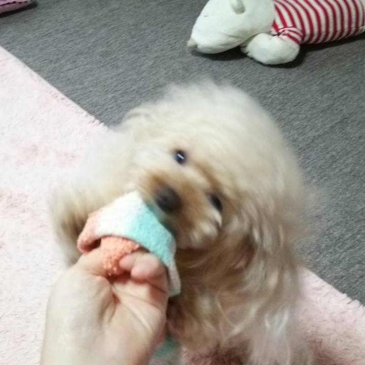 255350ed 4c30 48b2 ad10 efb4136c3433 1541849922129