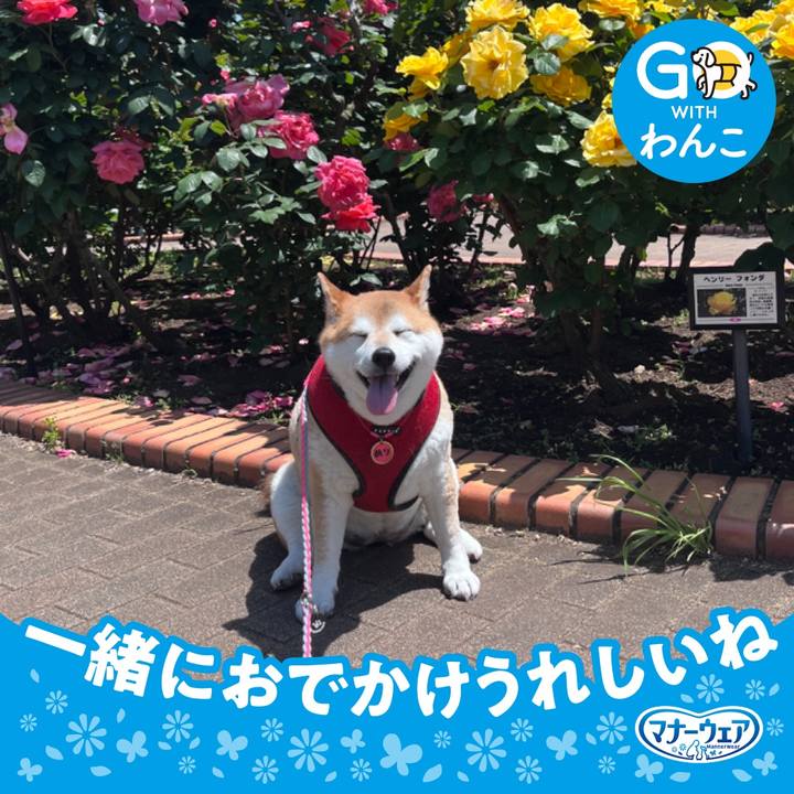 25537b00 83a7 4147 a2af fdc8e3cc179b 1715831628132