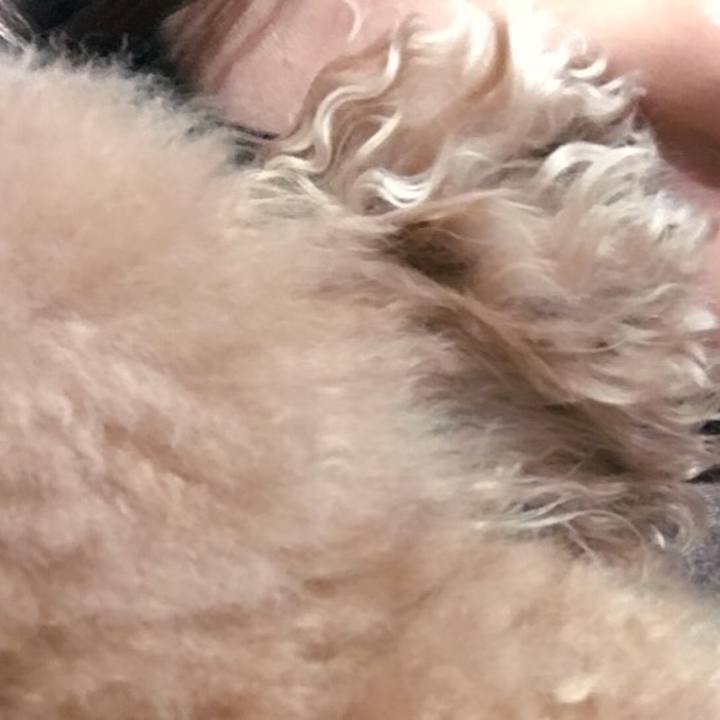 25539823 b723 41aa 9772 ea1dfb6b3311 1523805450691