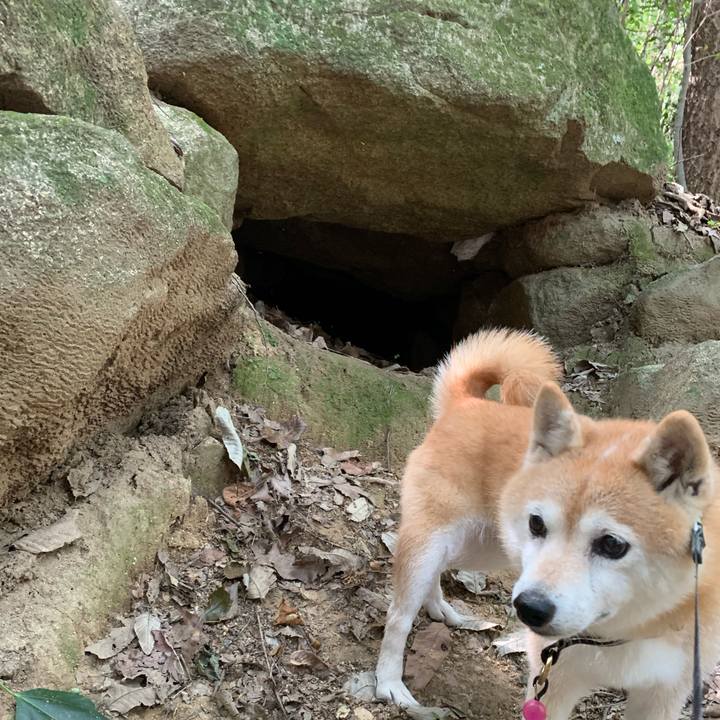 2553f610 1dbf 40ab 9b99 9d9065b55f42 1697263614506